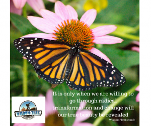 It is only when we are willing to go through radical transformation and change will our true beauty be revealed 